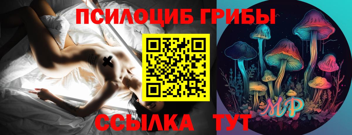 Еманжелинск  Галлюциногенные грибы прущие грибы  Вход с VPN 